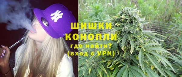 Альфа ПВП Алзамай