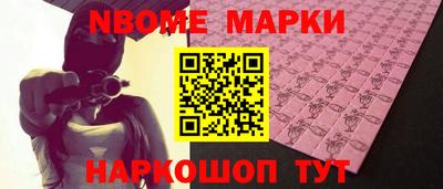 крисы Кингисепп