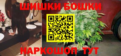 крисы Кингисепп