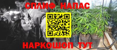 крисы Кингисепп
