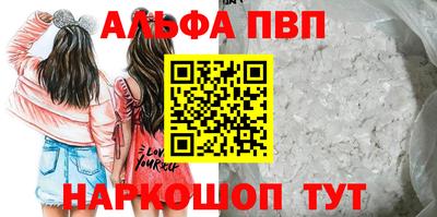 крисы Кингисепп