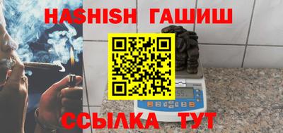 крисы Кингисепп