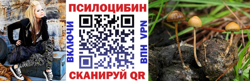площадка как зайти  Крымск  Галлюциногенные грибы мухоморы  наркота 