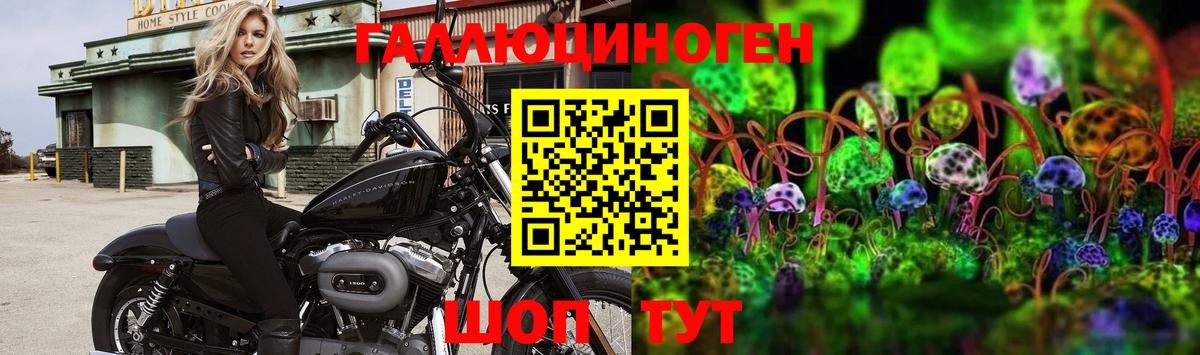 Псилоцибиновые грибы Psilocybe  Вход с VPN  Крымск  Галлюциногенные грибы Magic Shrooms 