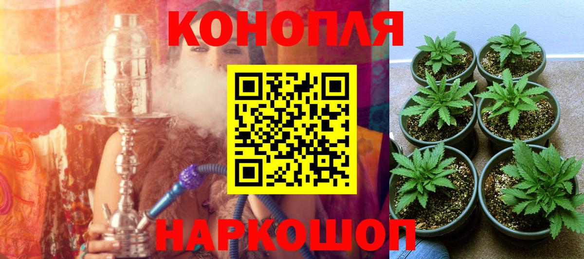 Конопля план  Бошки Шишки SATIVA & INDICA  Марихуана AK-47  Крымск  Вход с VPN 
